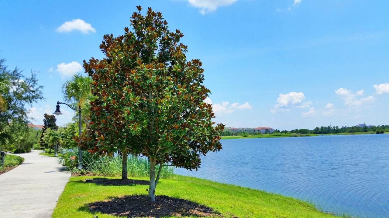 Luxury Vacation In This Gorgeous Vista Cay Condo Kissimmee Exterior photo